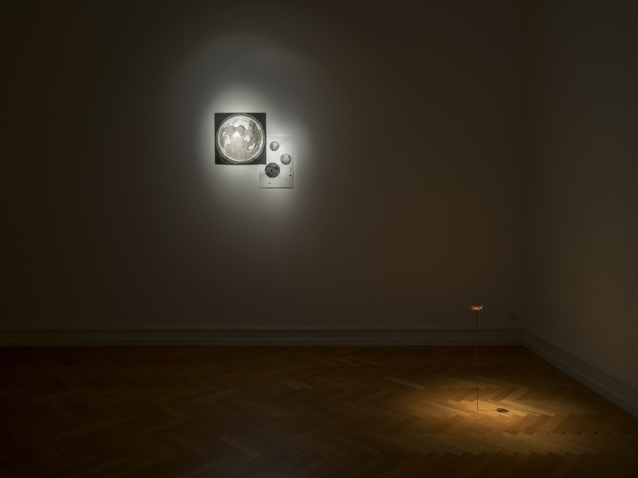 Exhibition view, ntu, Nolan Oswald Dennis, Tabita Rezaire, Bogosi Sekhukhuni, Kunsthalle Bern, 2023