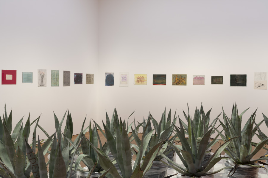 Vue de l’exposition Alain Huck. Respirer une fois sur deux, Musée cantonal des Beaux-Arts de Lausanne, 2025. Photo : MCBA, Étienne Malapert