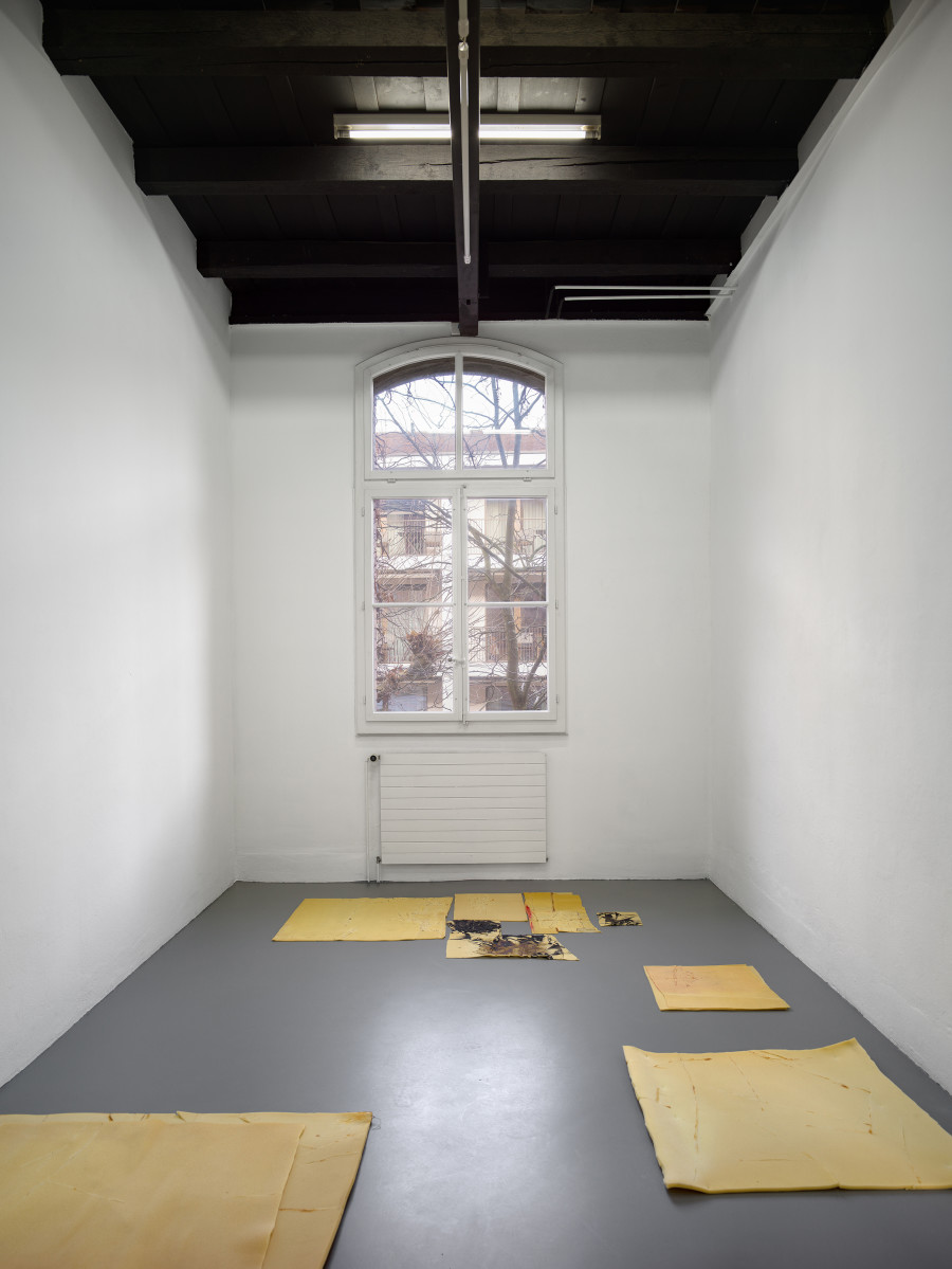 Olga Balema, Formulas (2022), installation view, The bizarre space of complex numbers, Kunsthalle Friart Fribourg, 2025. Photo: Cedric Mussano