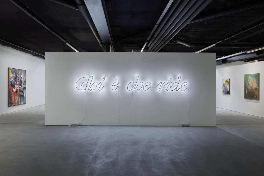 Pietro Roccasalva Chi è che ride. Installation view © Agostino Osio