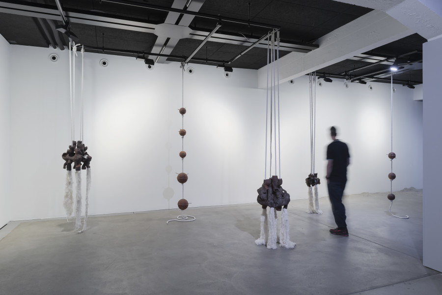 Maya Hottarek, Neokaryotes, 2023, «New Rituals [for the End of the World]», 2026, HEK, photo: Franz Wamhof