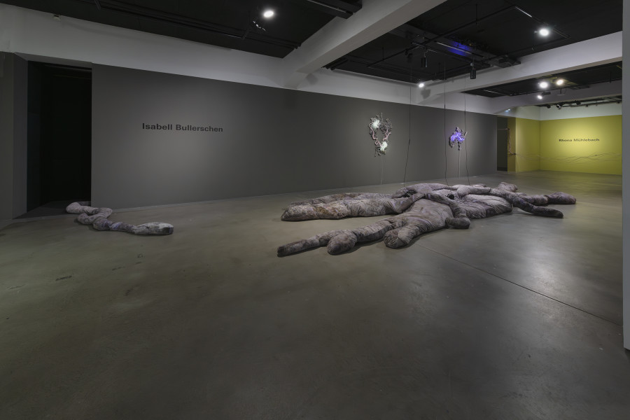 Isabell Bullerschen, exhibition view, «Lukas Truniger, Isabell Bullerschen, Rhona Mühlebach – Swiss Media Art – Pax Art Awards 2025», 2026, HEK, photo: Franz Wamhof