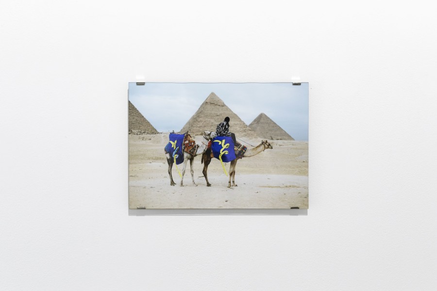 Camels (Photo by Jan Hromadko) Inkjet Print on Baryta Paper Edition of 20 21 x 29,5 cm, Markéta Jachimova, MY HANDS, KALI Gallery, Installation view, 2022