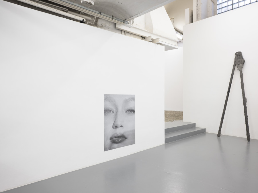 Window Grey,Pierre-Olivier Arnaud, David Knuckey, exhibition view, 2023 Photo: Sebastian Verdon.