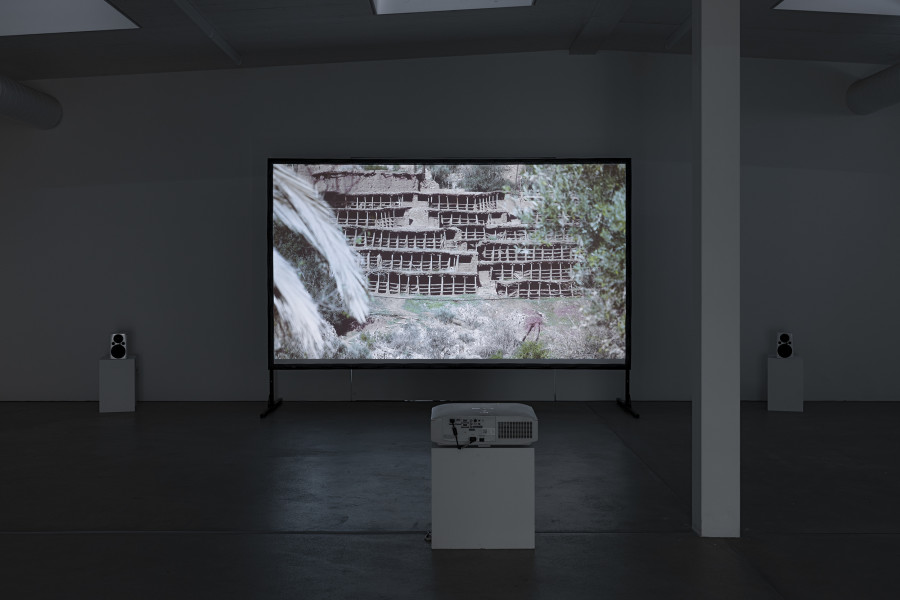 Bettina Grossenbacher, Stung by drought, 2024. Courtesy the artist. Ausstellungsansicht Kunsthaus Baselland 2025. Foto: Gina Folly