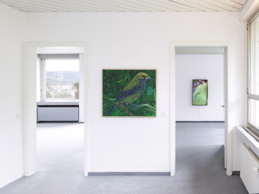 Exhibition view, Matteo Callegari, Mother, flatmarkus, Kilchberg / Zürich, 2024. Photo credit: Felix Jungo. Courtesy of the artist and flatmarkus