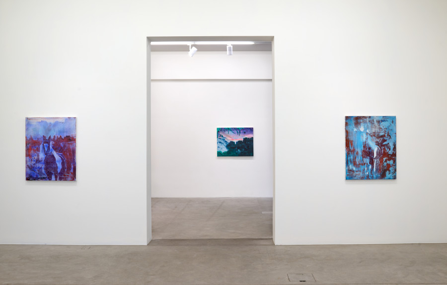 Exhibition view, Rebekka Steiger, ma quỷ vô đồng tử – ghosts without pupils, Galerie Urs Meile, 2023.