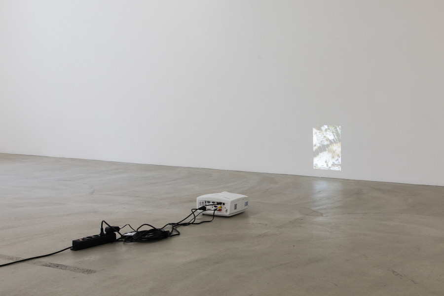 Installation view, Noa & Lara Castro Lema Notas sobre flotar e caer (Notes on floating and falling) with Leonardo Bürgi, Amélie Bodenmann, Nina Rieben, Margherita Raso single channel video projection, sound, 15’48’’, 2024. Photo credit: Nina Rieben ©