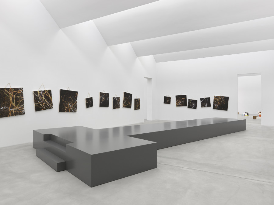 Exhibition view, Sylvie Fleury, Shoplifters from Venus, Kunst Museum Winterthur, 2023. Photo credit: Annik Wetter