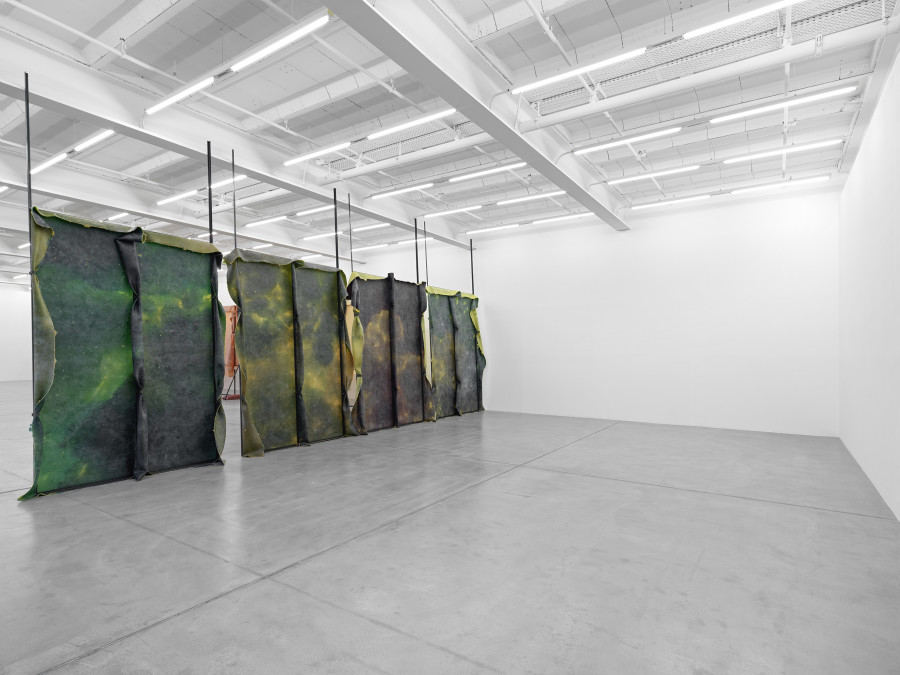 Installation view, Liesl Raff, A Corridor, a Room, and Four Dens, Galerie Eva Presenhuber, Maag Areal, Zurich, 2025. © Liesl Raff. Courtesy the artists and Galerie Eva Presenhuber, Zurich / Vienna. Photo: Stefan Altenburger Photography, Zürich