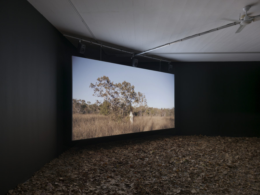 Exhibition view of Rituals of Care by Antonio Obá at Centre d’Art Contemporain Genève (November 16, 2024-February 16, 2025). © Centre d’Art Contemporain Genève. Photo: Annik Wetter