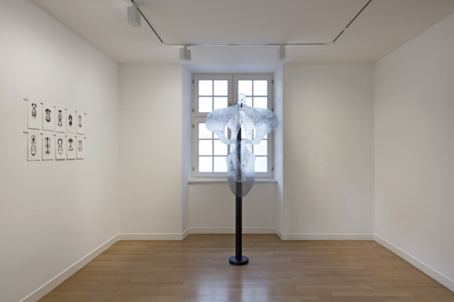 Installation view, Anna Maria Balint, Vivid Objects, Kunst Raum Riehen, 2023. Photo credit: Gina Folly. © Kunst Raum Riehen