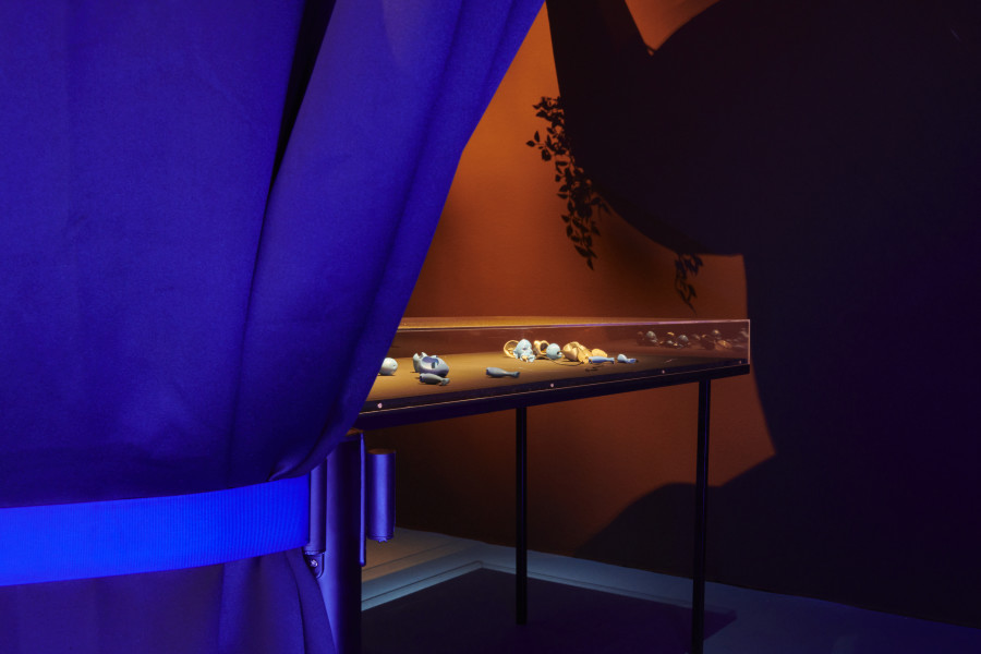 Exhibition view, Giulia Essyad, -A Selene Blues-, Fri Art, 2020. Photo Guillaume Python. Courtesy of Fri Art Kunsthalle