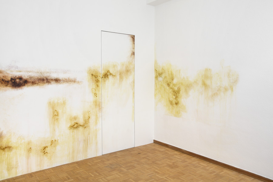 Ceylan Öztrük, Mold Work II, 2022, Collaboration with Emina Sljivar, Painting on the wall, Variable Dimensions. Picture credit: Philipp Rupp/Julien Gremaud. Courtesy of the artist and Sentiment