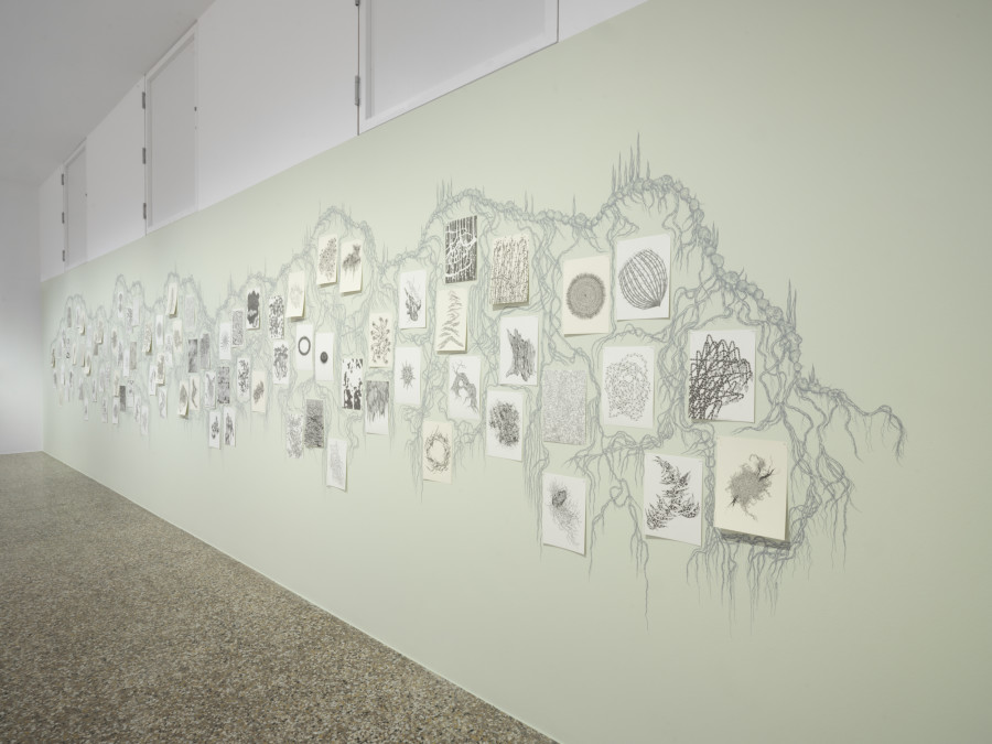 Exhibition view, Anaëlle Clot, Musée Jenisch Vevey, 2024. Photo credit: Julien Gremaud