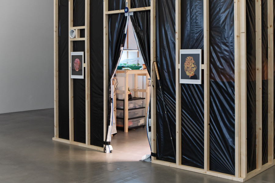 Exhibition view Interdependencies: Perspectives on Care and Resilience, Carmen and Antonio Papalia, Tripping Hazard (Field Studio 1), 2023, Installation, various materials. Courtesy the artist; Commissioned by Migros Museum für Gegenwartskunst. Photo: Studio Stucky
