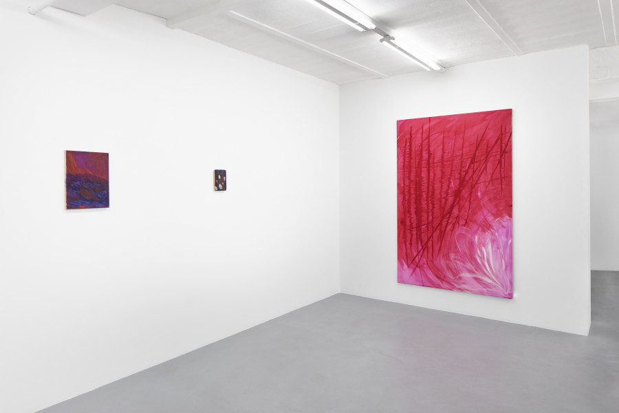 Exhibition view, Augusta Lardy Micheli, walk with me, galerie lange + pult, Auvernier, 2026. Photo credit: © Sully Balmassière