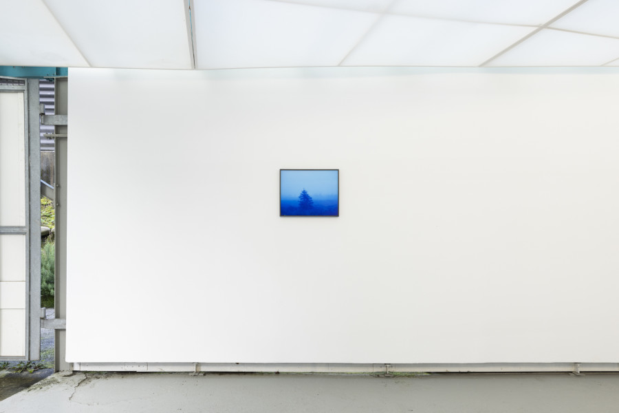 Installation view, Malte Bartsch, T.I.N.A., KALI Gallery, 2024.