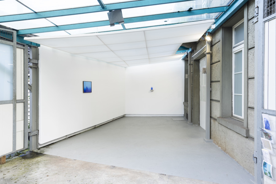 Installation view, Malte Bartsch, T.I.N.A., KALI Gallery, 2024.