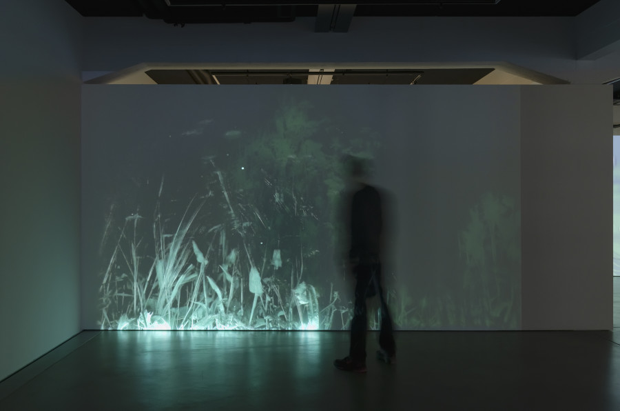 Silvi Simon, Persistance, Dys Focus Nature Collection, 2013, «Regionale 25», 2024, HEK, photo: Franz Wamhof