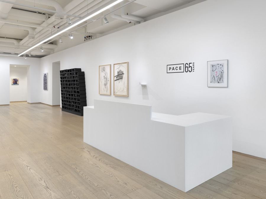 Installation view, Pace: 65 Years, Pace Gallery, Geneva, 2025. Photo: Annik Wetter, courtesy Pace Gallery