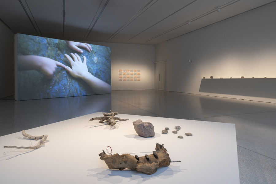 Vue de l’exposition, Uriel Orlow. Forest Futurism, Musée cantonal des Beaux-Arts de Lausanne. © Uriel Orlow. Photo : MCBA /Etienne Malapert