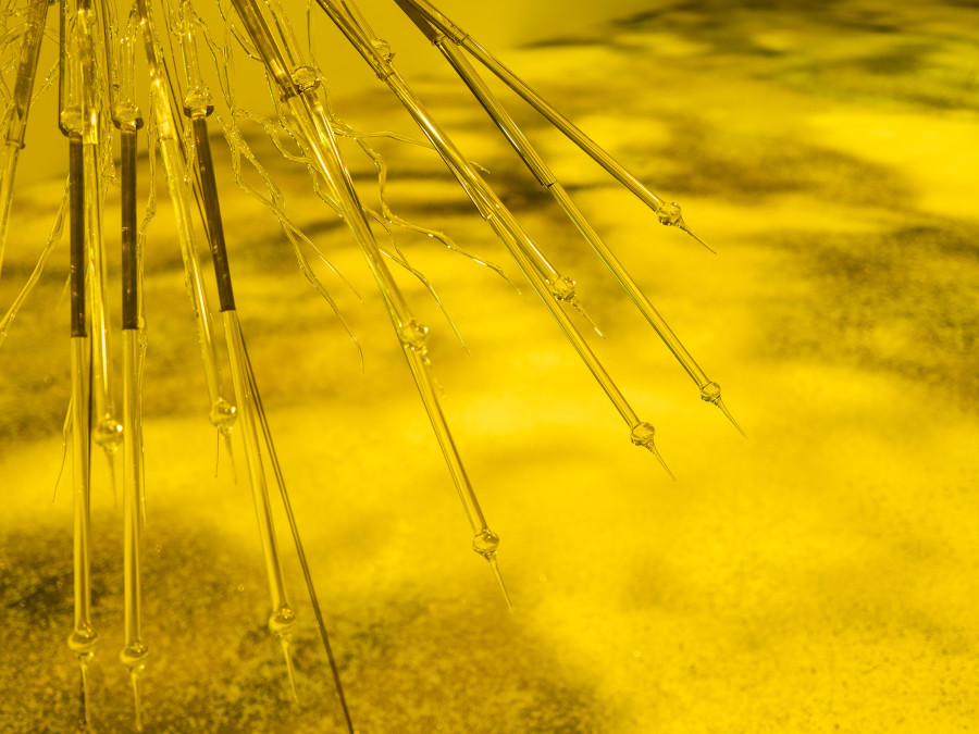 Exhibition View Duo Show Pauline Cordier & Rahel Oberhummer « Ce qui nous échappe » at Espace ContreContre, Saint-Maurice, 2026 / Photo: ©Etienne Malapert / Courtesy: The artists & EspaceContreContre. Disarmed — AP.1, borosilicate glass and stainless steel, sculpture: 154 × 110 × 110 cm, 2026