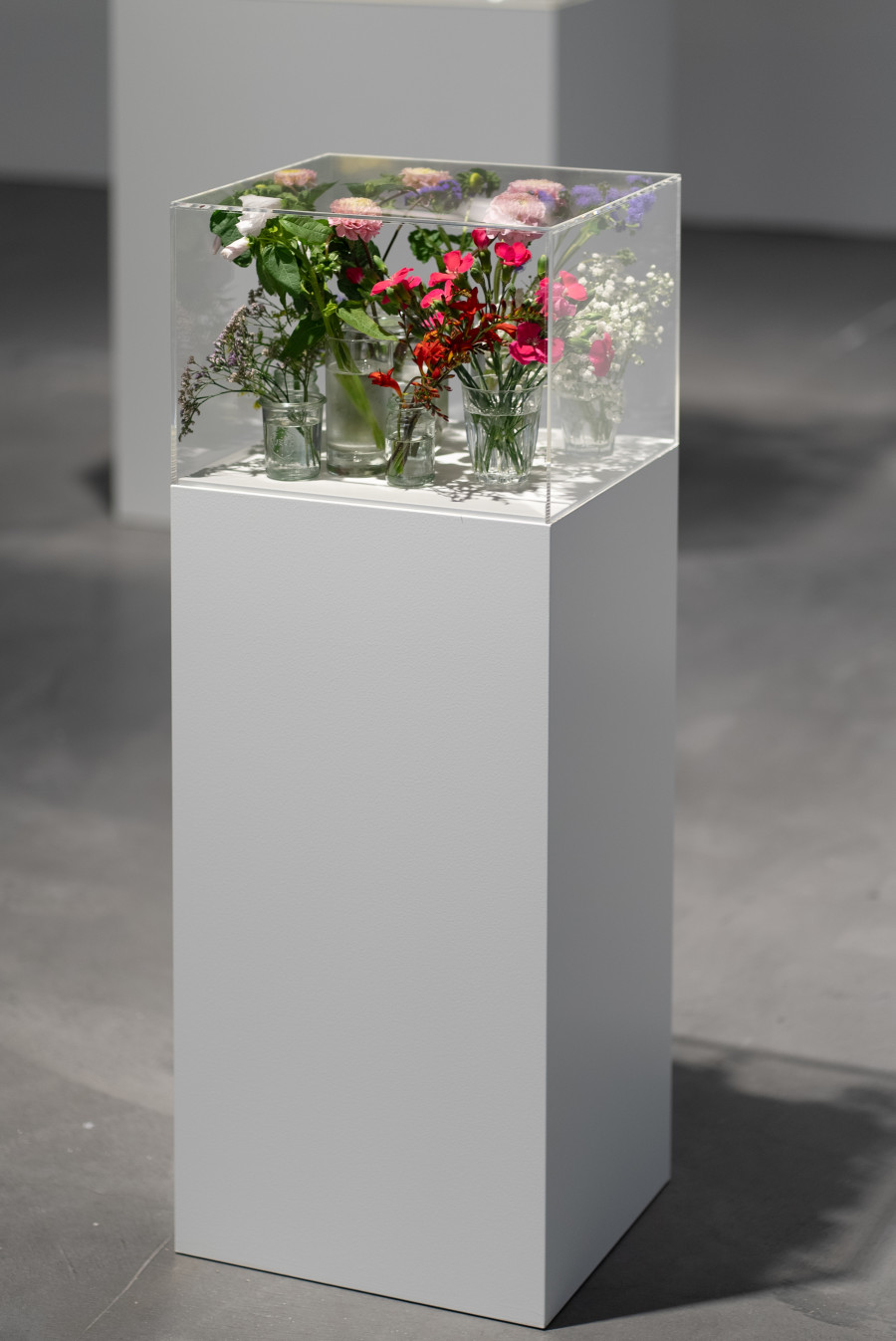 Exhibition view Interdependencies: Perspectives on Care and Resilience, Jesse Darling, Untitled (still life), 2018 - ongoing, Flowers, vases, water, vitrines. Courtesy the artist and Arcadia Missa, London. Photo: Studio Stucky
