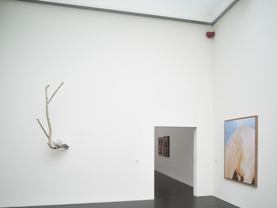 Exhibition view, zentral!, Davina Andrea Deplazes and Liv Burkhard, Kunstmuseum Luzern, 2023-2024. Photo: Marc Latzel