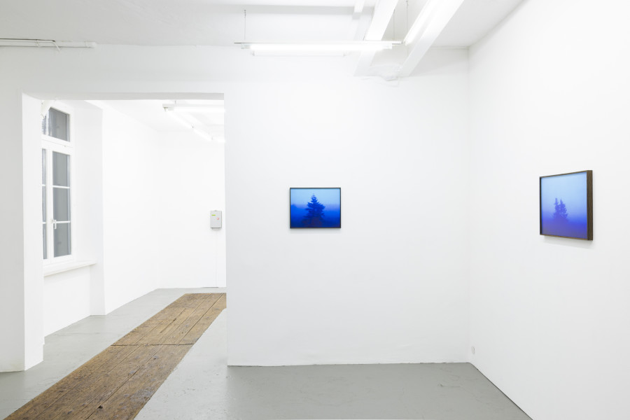 Installation view, Malte Bartsch, T.I.N.A., KALI Gallery, 2024.