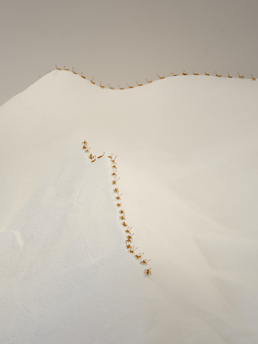 Edgar Calel, exhibition views, Kunsthalle Bern, 2026. Photo: David Aebi.