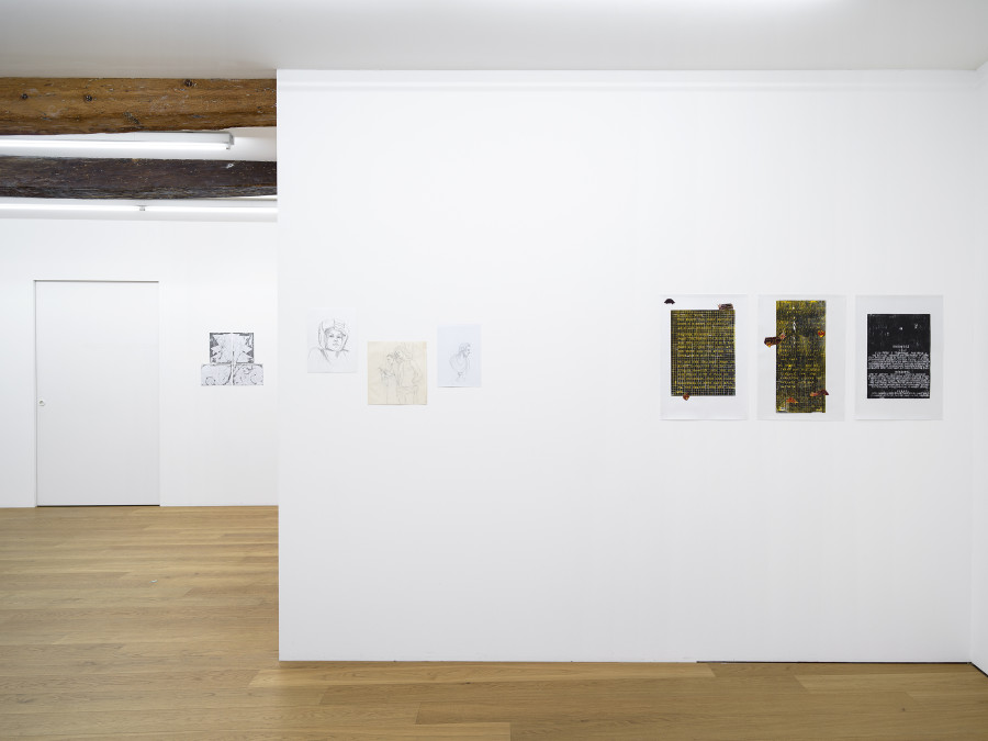 Kirchgasse Gallery, Didactic Poetry, Installation View, 2023 / Photo: Cedric Mussano / Courtesy: The artist and Kirchgasse Gallery