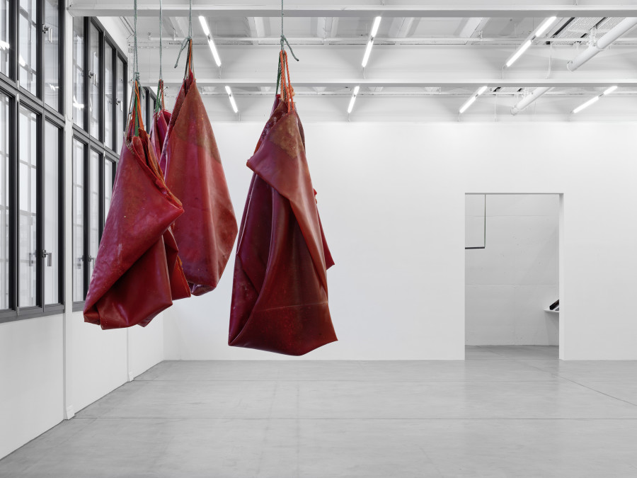 Installation view, Liesl Raff, A Corridor, a Room, and Four Dens, Galerie Eva Presenhuber, Maag Areal, Zurich, 2025. © Liesl Raff. Courtesy the artists and Galerie Eva Presenhuber, Zurich / Vienna. Photo: Stefan Altenburger Photography, Zürich