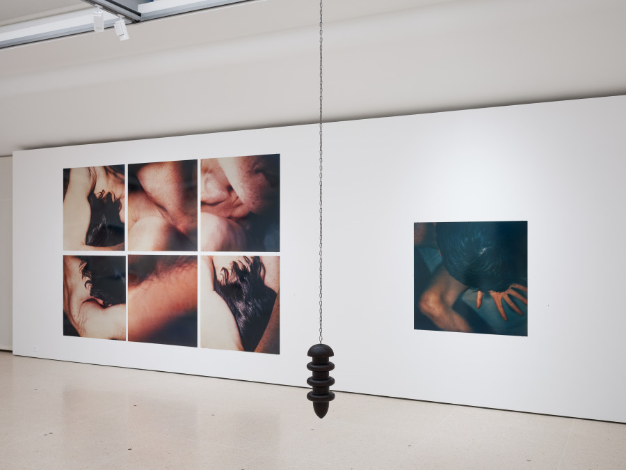 Exhibition view, «Träumende Dinge – Heidi Bucher, Miriam Cahn, Meret Oppenheim, Hannah Villiger, Ilse Weber et al.», Kunsthaus Zug, 2026, © 2026, ProLitteris, Zurich. Photo: Ernst Kehrli
