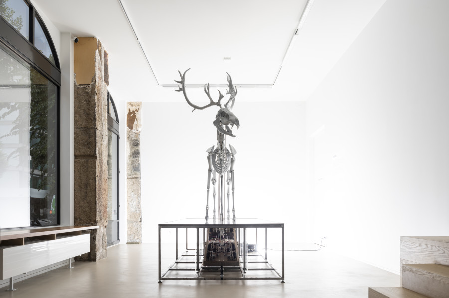 Exhibition view, Mat Collishaw, vivisystems, Wilde, 2024. Photo credit: Eric Bergoend