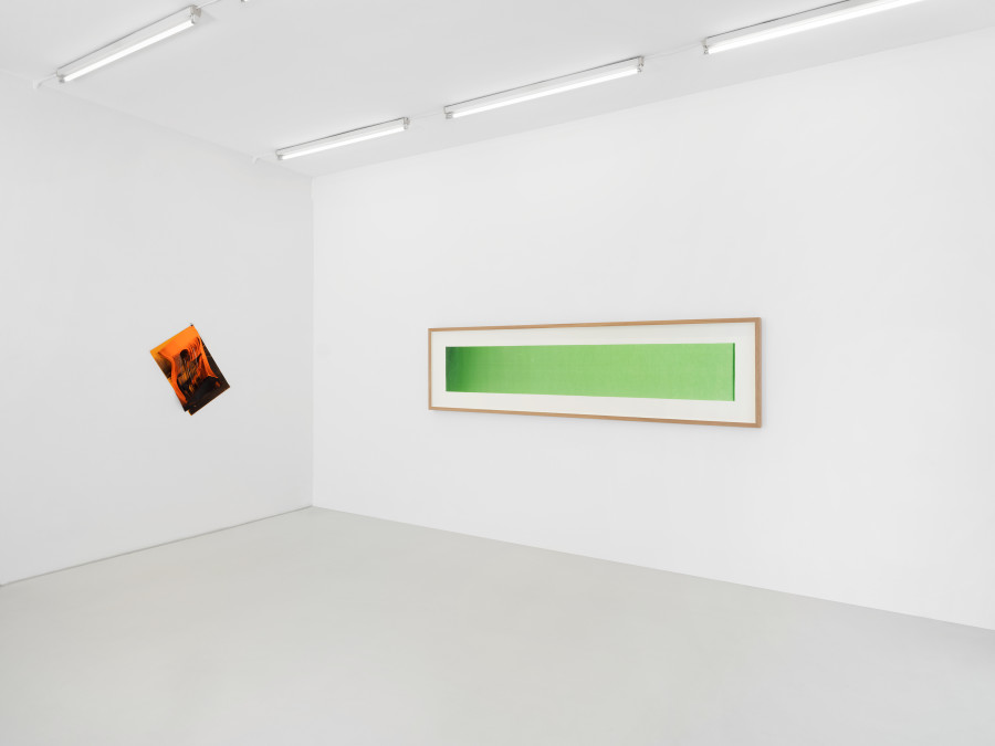 Installation view, Naturæ, Skopia, Geneva, 2026. Photo credit: Julien Gremaud, courtesy of the artists and Skopia