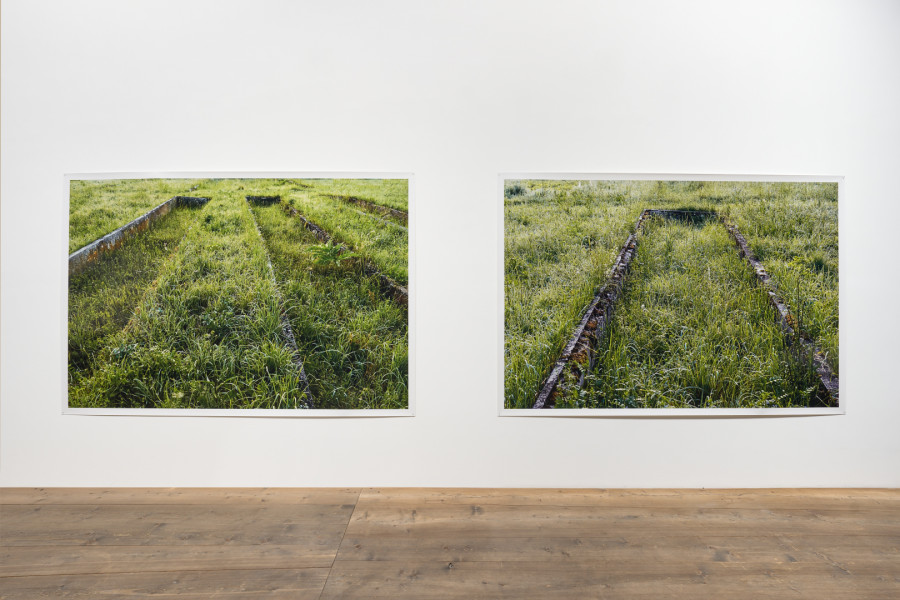 Andrea Büttner, Former plant beds from the plantation and "herbal garden," used by the SS for biodynamic agricultural research, at the Dachau Concentration Camp, 2019-2020, Former plant beds from the plantation and "herbal garden," used by the SS for biodynamic agricultural research, at the Dachau Concentration Camp, 2019-2020. Photo: Ralph Feiner, Courtesy of the artist and Galerie Tschudi