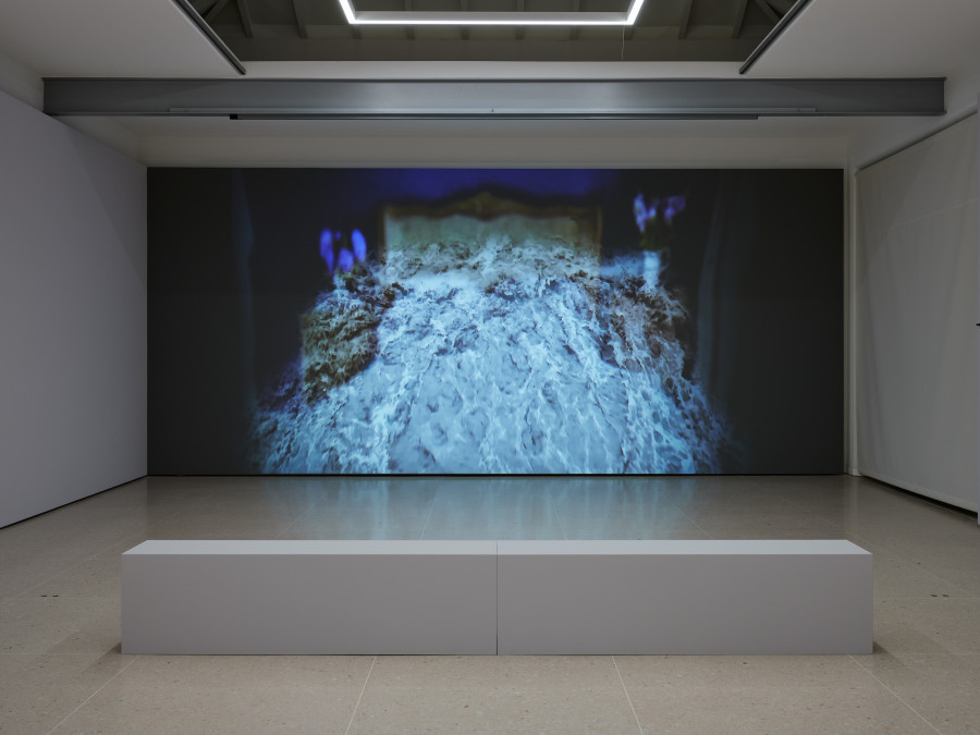 Exhibition view, «Träumende Dinge – Heidi Bucher, Miriam Cahn, Meret Oppenheim, Hannah Villiger, Ilse Weber et al.», Kunsthaus Zug, 2026, © 2026, ProLitteris, Zurich. Photo: Ernst Kehrli