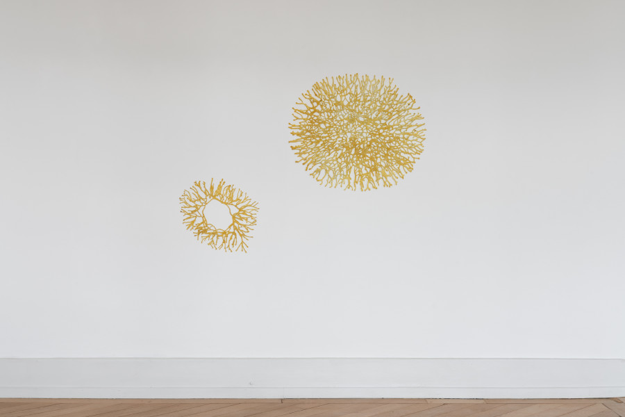 Coniunctio, installation view: Andrea Wolfensberger, Growing Mycelia, 2021, Kunsthalle Palazzo 2023, photo: Jennifer Merlyn Scherler