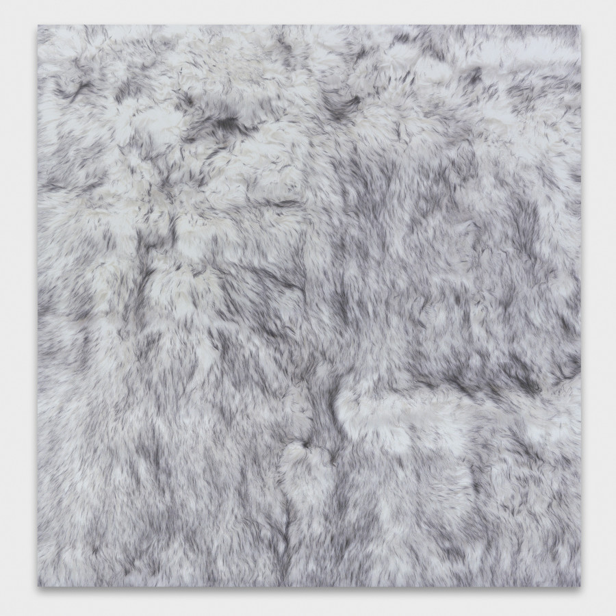 Rochelle Feinstein, Shag, 2021. UV print on Dibond, 152.4 × 147.3 cm ( 60 x 58 inches ), FEINS112165