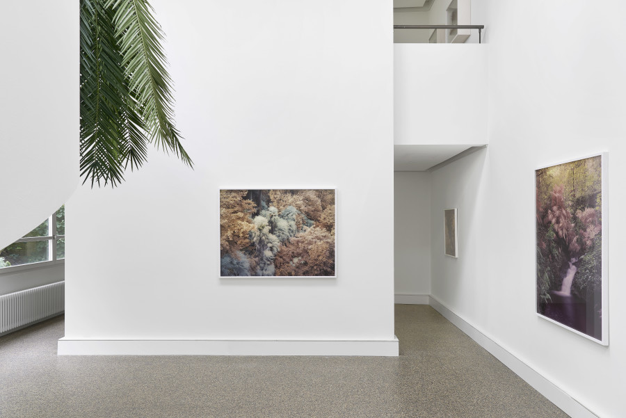 Exhibition view, Yann Gross, Greetings, Wilde, 2024. Photo credit: Philipp Hänger