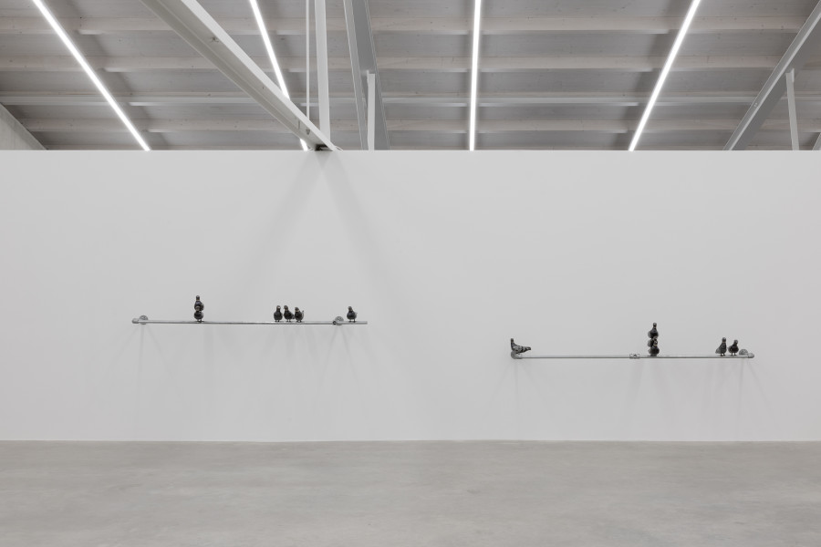 Tim Kummer, Nice little cooing doves, 2023. Courtesy the artist. Ausstellungsansicht / Installation view Kunsthaus Baselland 2024. Foto / Photo: Gina Folly