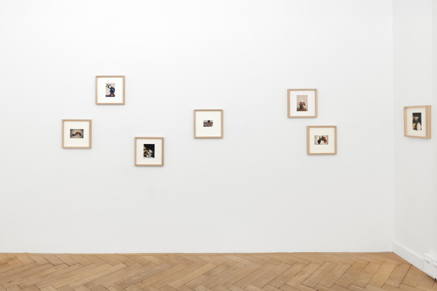 Installation view, Isabella Ducrot “Soft Focus” at The Showroom by Xavier Fischer, Rämistrasse, Zurich, 2026/ Photo: Flavio Karrer/ Courtesy: The artist and Fischer Art Advisory