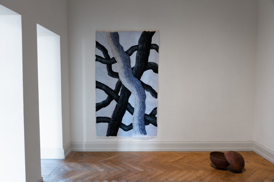 Regionale 23 – Mnemosyne, installation view: Sibilla Caflisch and Zoé Joliclercq, Kunsthalle Palazzo 2022, Photo: Jennifer Merlyn Scherler