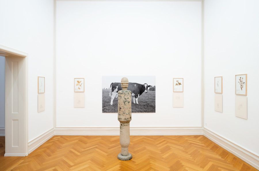 Exhibition view, Jef Geys, Kunsthalle Bern, 2021. Photo: Stefan Burger
