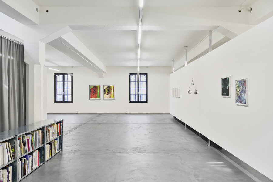 Installation view "Beyond Imagery", with artworks by Wade Guyton, Thomas Hirschhorn, Laura Arminda Kingsley, Mingjun Luo, Olga Titus, and Beat Zoderer. Edition VFO, 2024. Photo: Bernhard Strauss