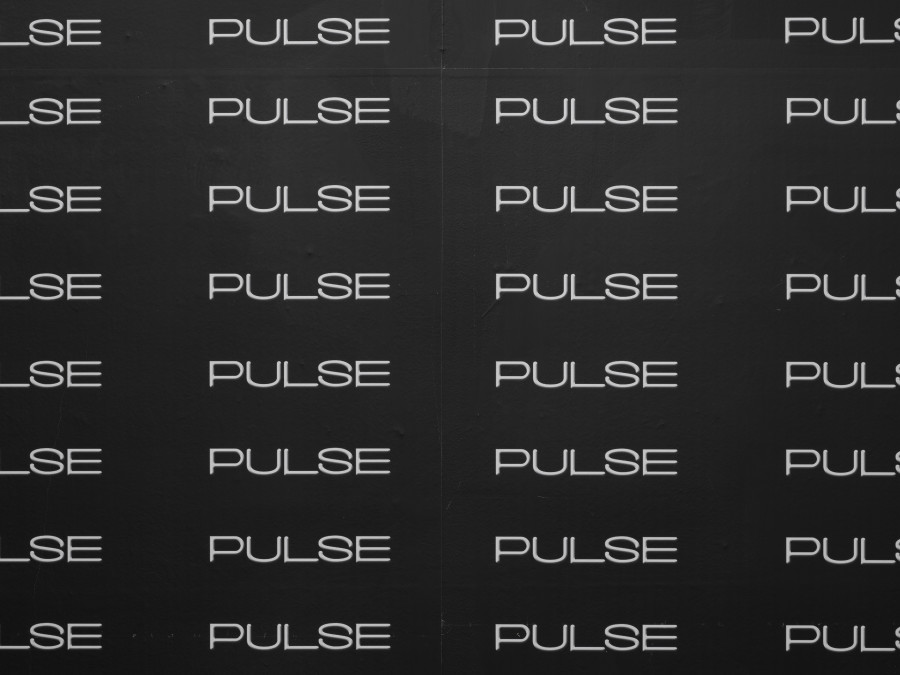 Puppies Puppies (Jade Guanaro Kuriki-Olivo), Pulse (Sturtevant), 2023, Printed PULSE logo billboard paper pasted on wall Dimensions variable