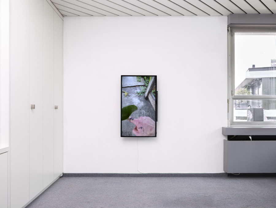 Exhibition view, Matteo Callegari, Mother, flatmarkus, Kilchberg / Zürich, 2024. Photo credit: Felix Jungo. Courtesy of the artist and flatmarkus