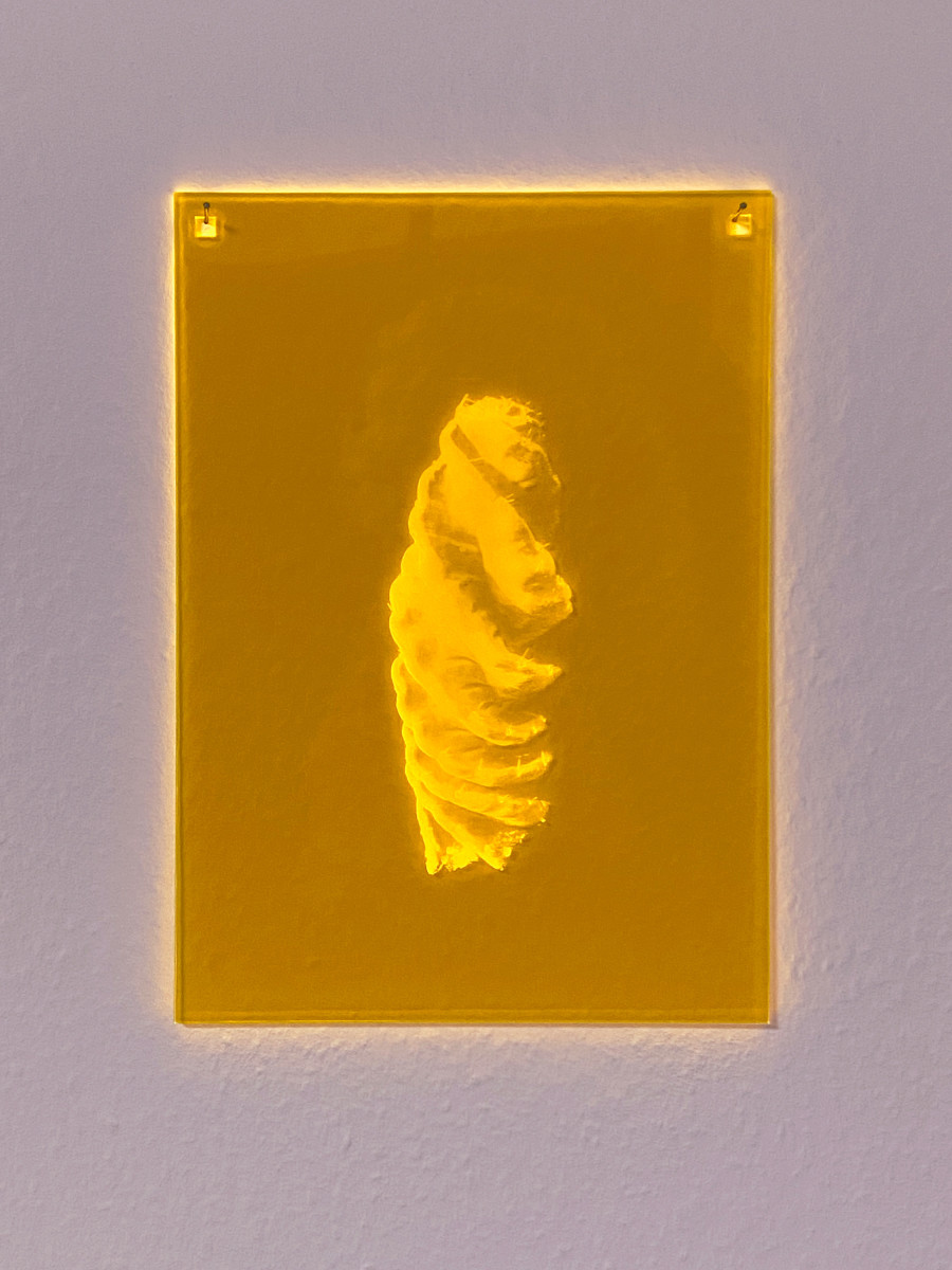 Susi Gelb: Mnemonic 084, 2022, plexiglass, laser engraving, 23 x 16 cm
