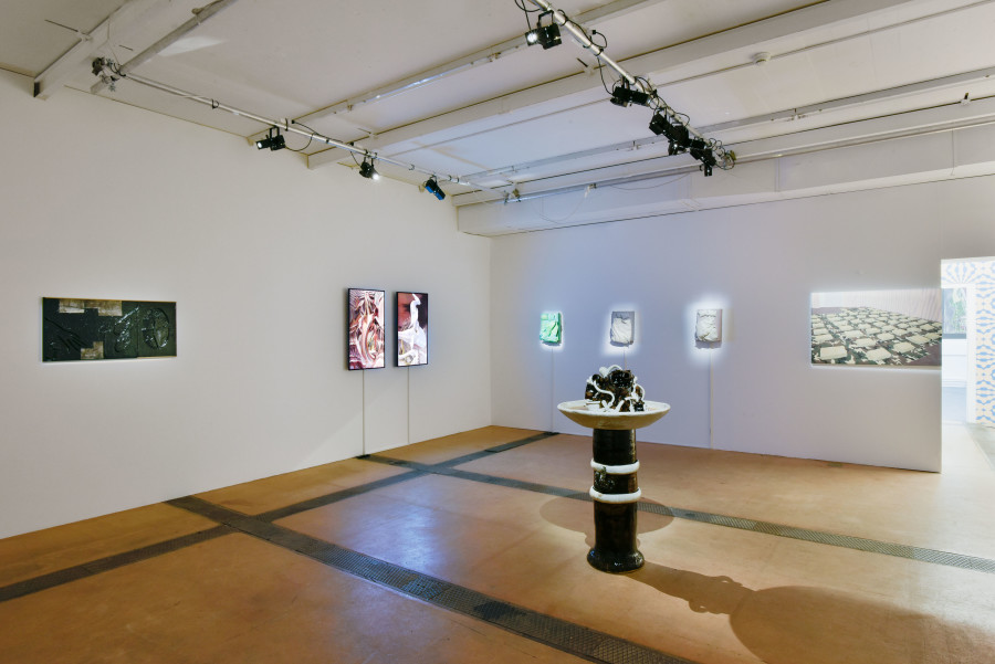 Exhibition view of Lemaniana : Reflections on Other Scenes at Centre d’Art Contemporain Genève (March 24, 2021‒August 15, 2021). © Centre d’Art Contemporain Genève. Photo: Mathilda Olmi